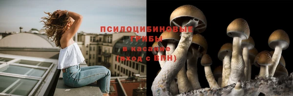 наркотики Алексин