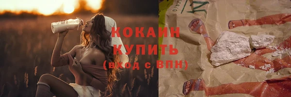твердый Аркадак