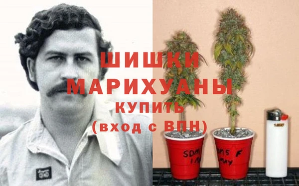 Альфа ПВП Армянск