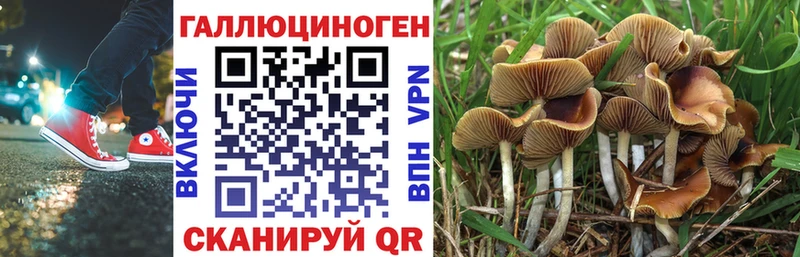 Псилоцибиновые грибы ЛСД  Ельня 